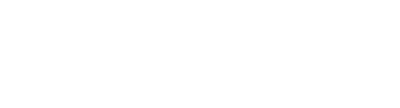 Santinelli International